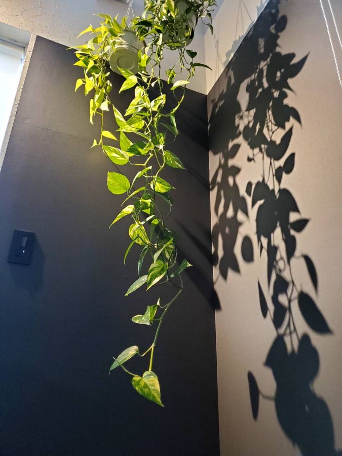 白いヨーロピアンの家 施工例 画像19